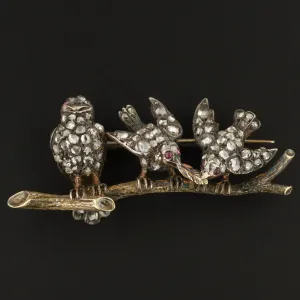 Antique Diamond Bird Brooch | Antique Bird Brooch