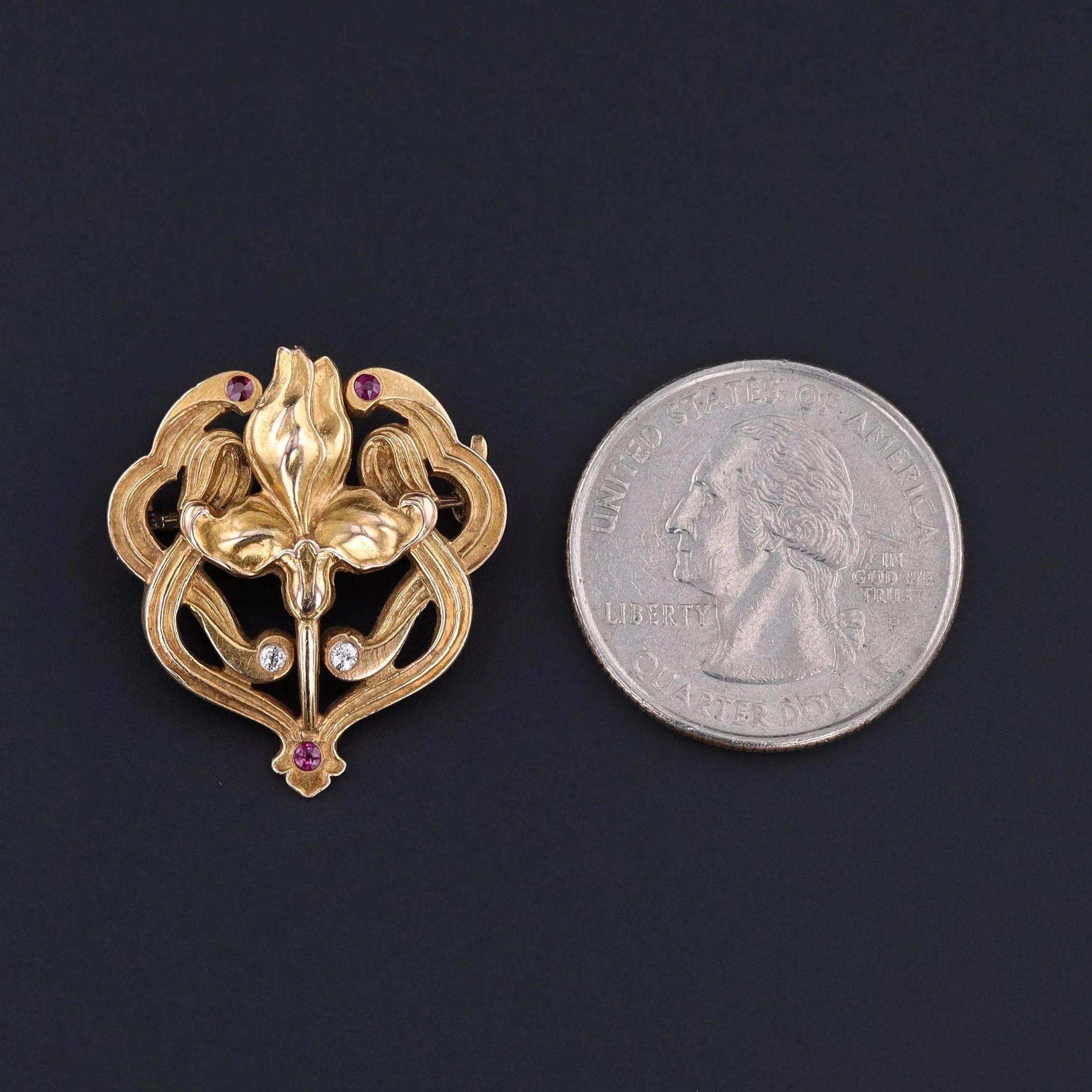Antique Iris Brooch of 14k Gold by Riker Brothers