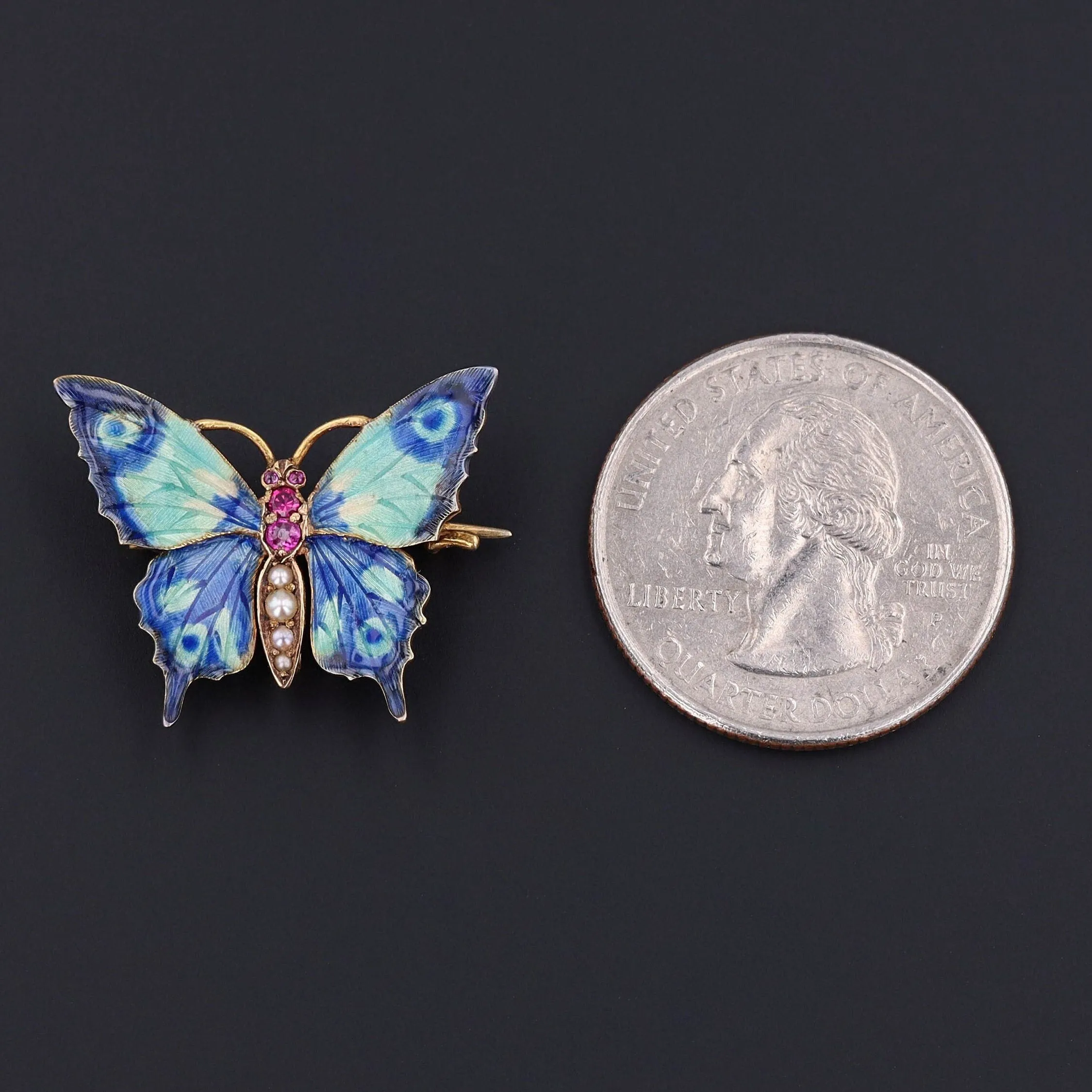 Butterfly Brooch | Antique Butterfly Pin