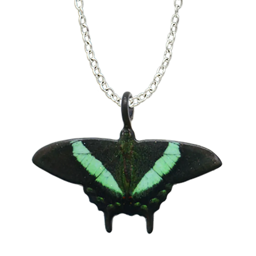 Emerald Swallowtail