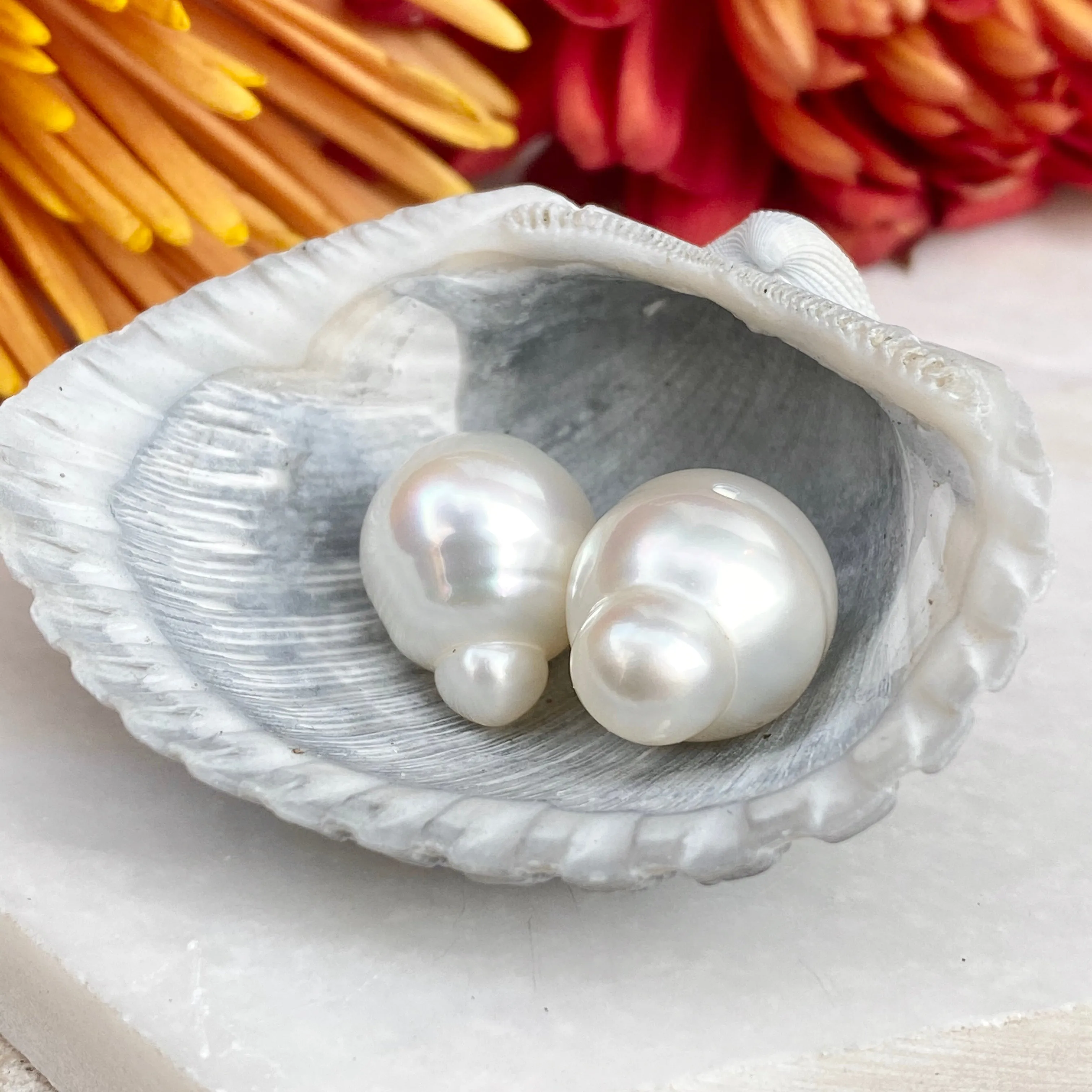 Genuine Paspaley South Sea Loose Pearl Pair "Fine" Quality 12mm #3